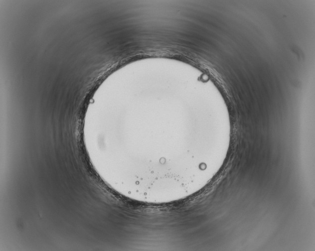 X0000112200305200909181539