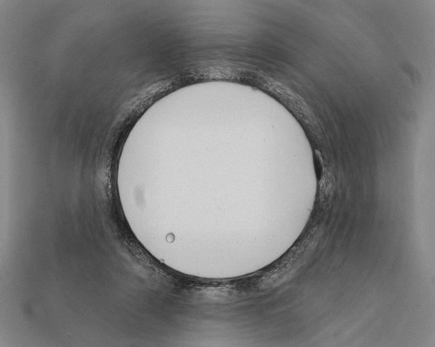 X0000112200306200909181539