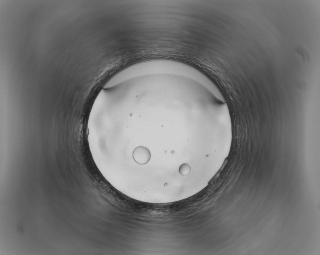 X0000112200308200909181539