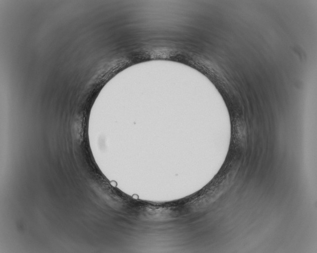 X0000112200311200909181539