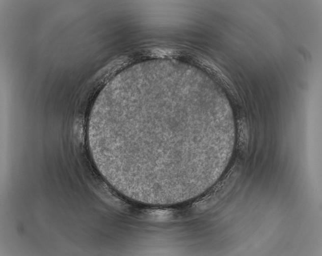 X0000112200313200909181539