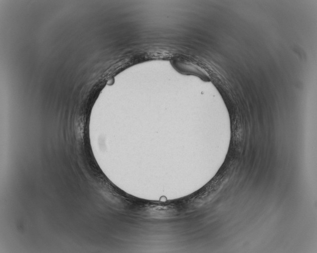 X0000112200315200909181539