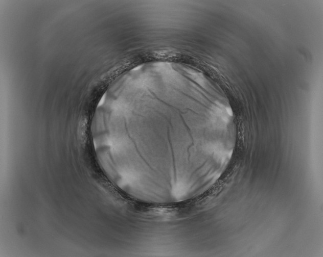 X0000112200319200909181539