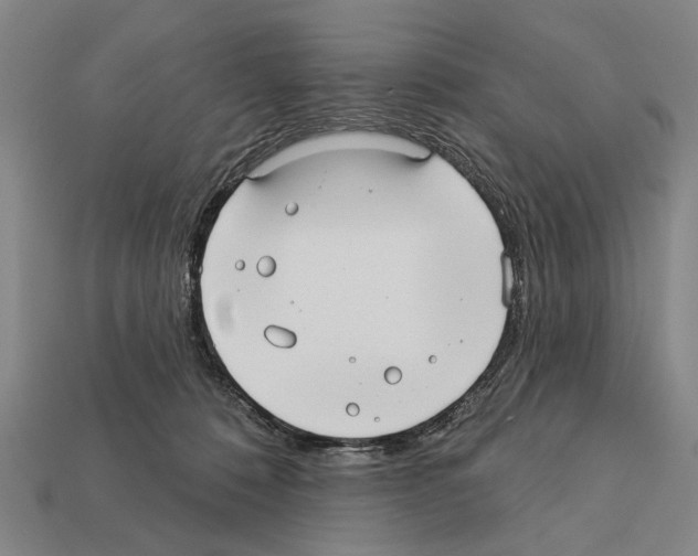 X0000112200320200909181539