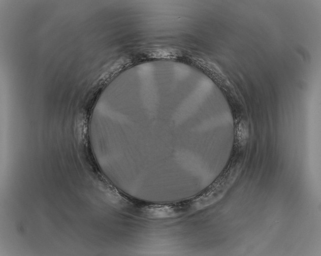 X0000112200322200909181539