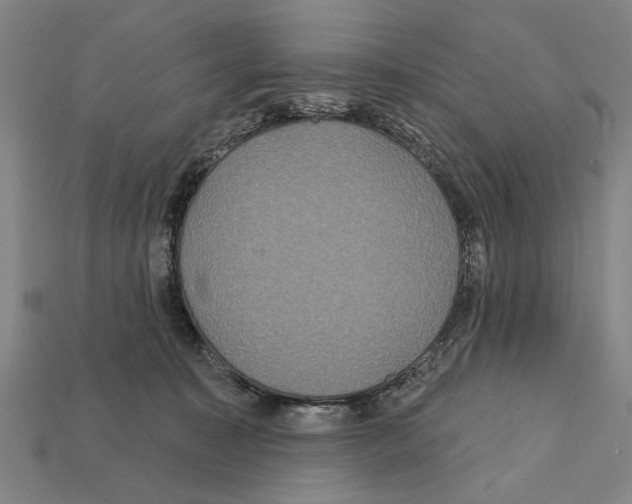 X0000112200323200909181539