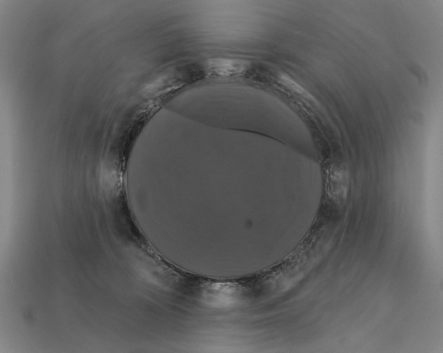 X0000112200324200909181539