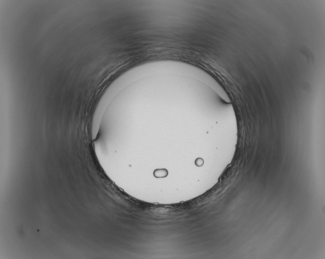 X0000112200325200909181539