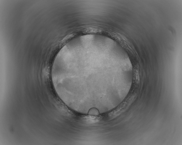 X0000112200326200909181539