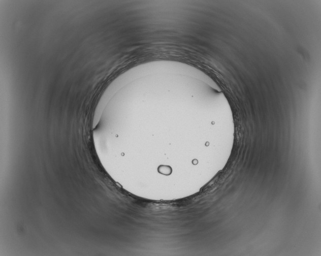 X0000112200327200909181539