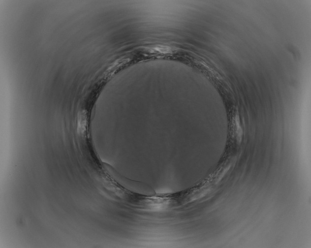X0000112200328200909181539