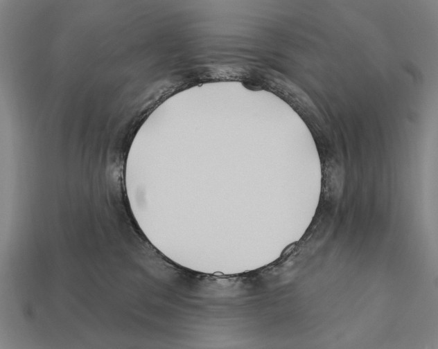 X0000112200329200909181539