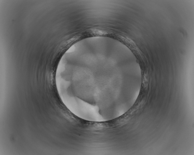 X0000112200330200909181539