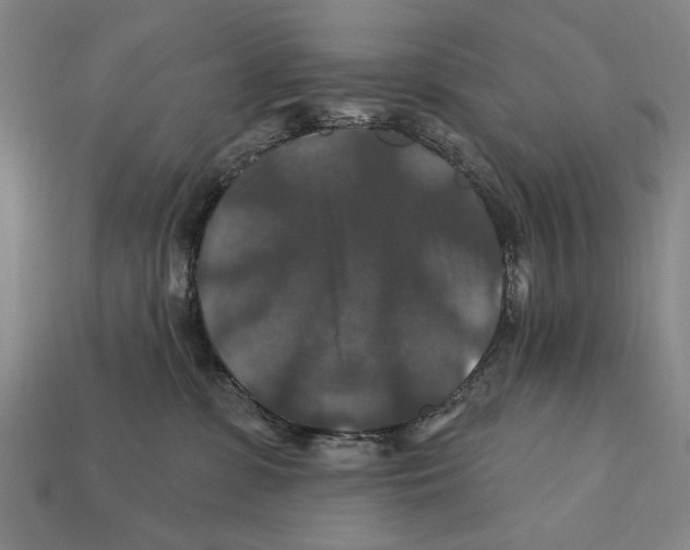 X0000112200331200909181539