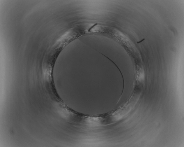 X0000112200332200909181539