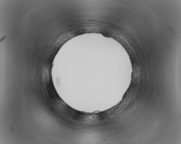 X0000112200333200909181539