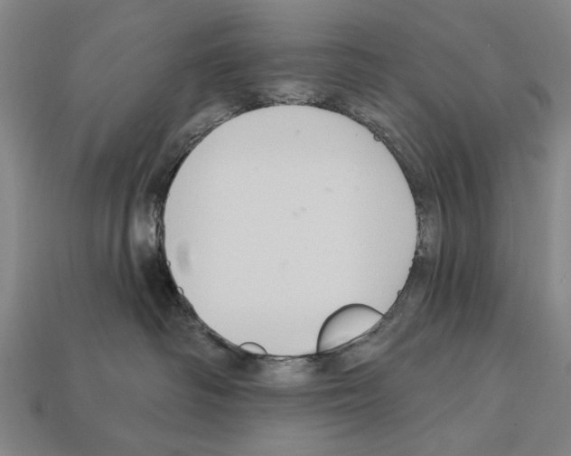 X0000112200334200909181539