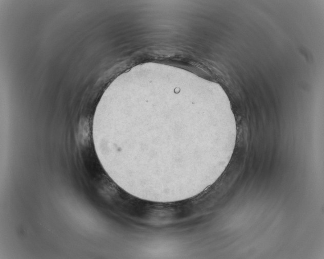 X0000112200335200909181539