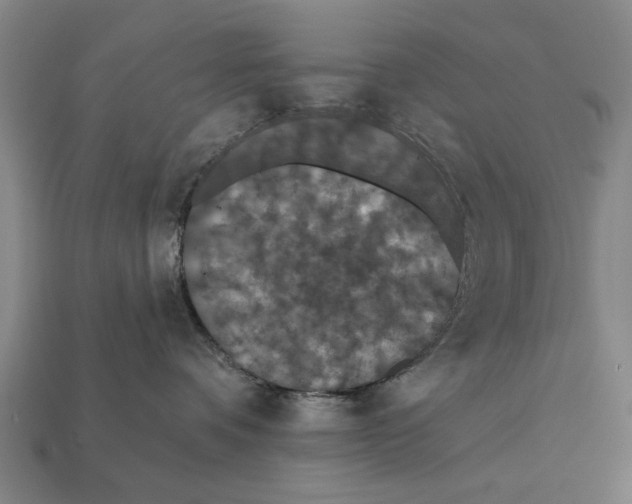 X0000112200336200909181539
