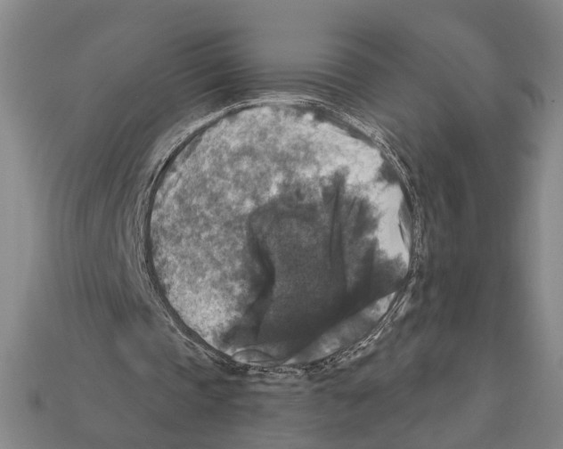 X0000112200337200909181538