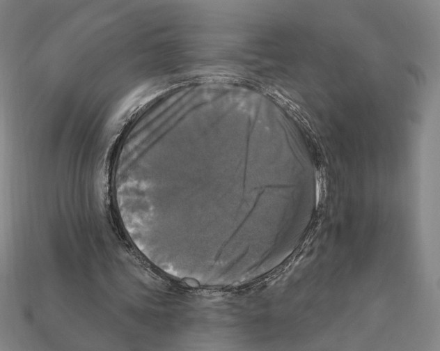 X0000112200339200909181538