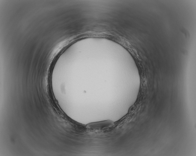 X0000112200340200909181538
