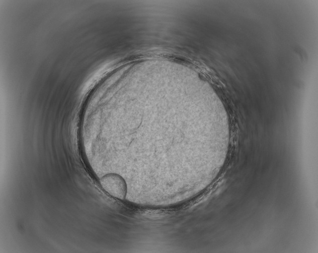 X0000112200341200909181538