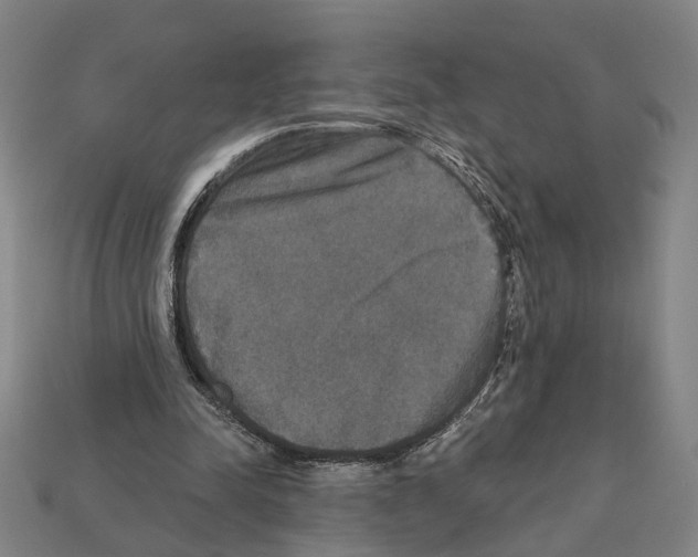 X0000112200342200909181538