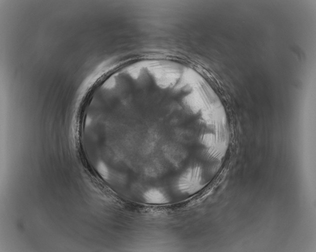 X0000112200343200909181538