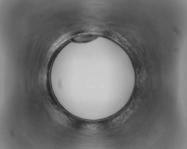 X0000112200344200909181538