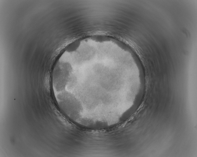 X0000112200345200909181538