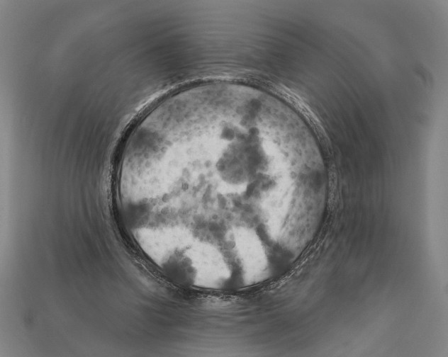 X0000112200346200909181538
