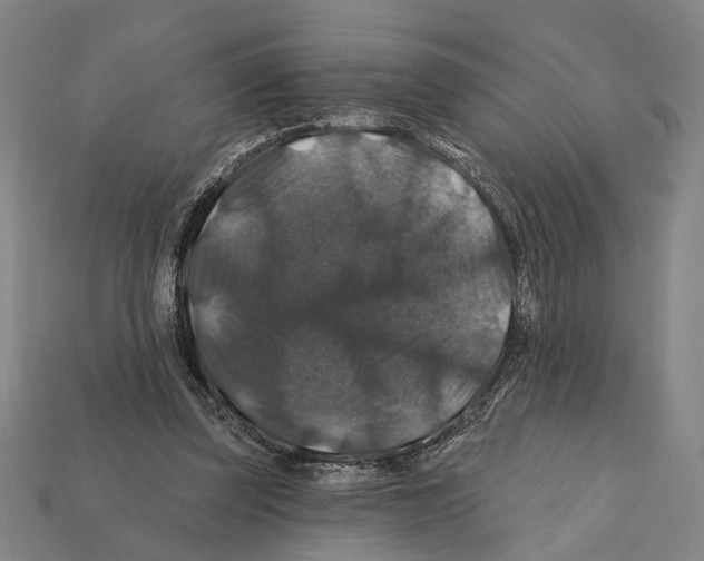 X0000112200347200909181538