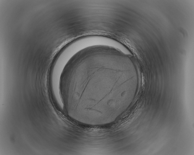 X0000112200348200909181538