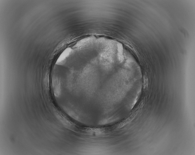 X0000112200349200909181538