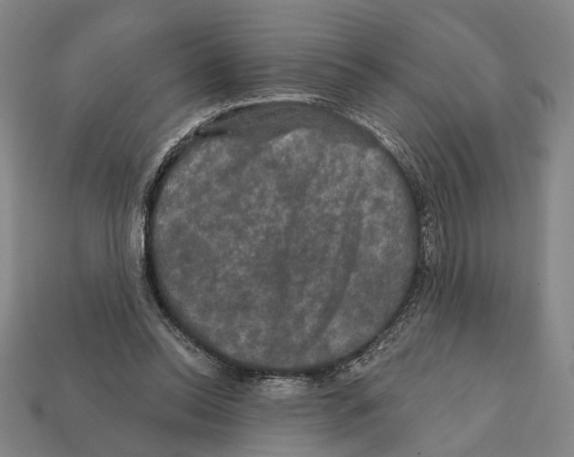 X0000112200350200909181538