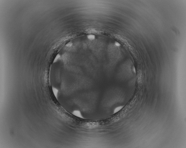 X0000112200353200909181538