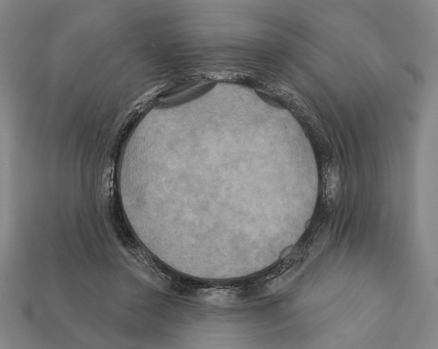 X0000112200356200909181538