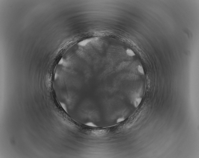 X0000112200357200909181538