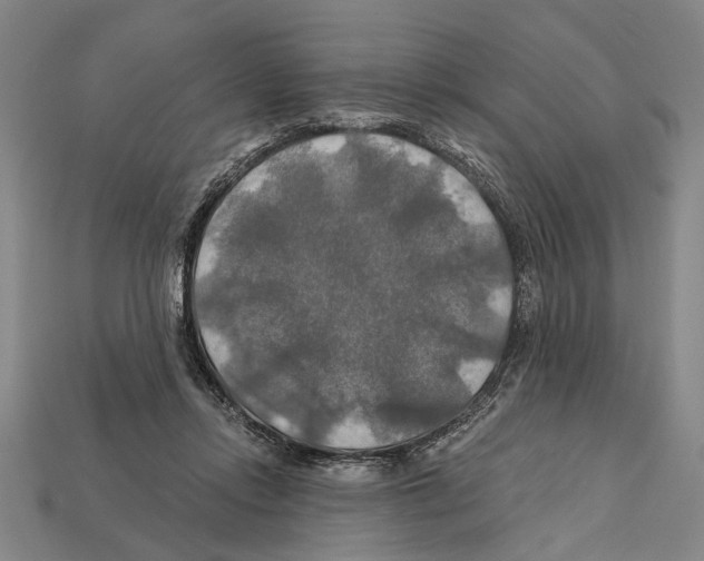 X0000112200358200909181538