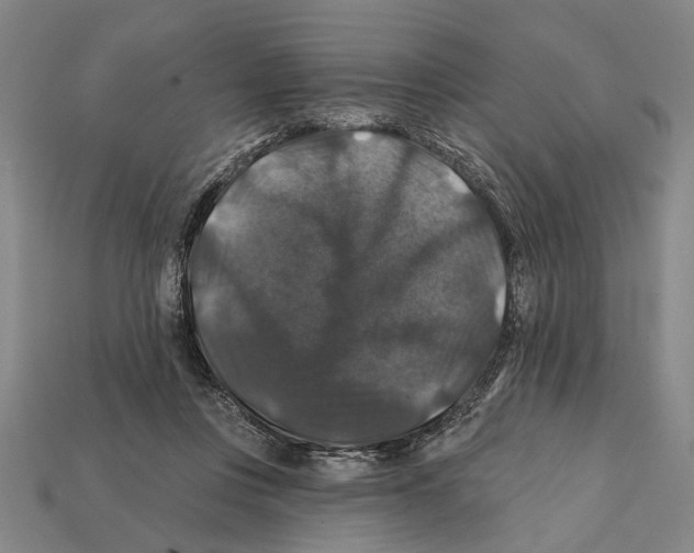 X0000112200359200909181538