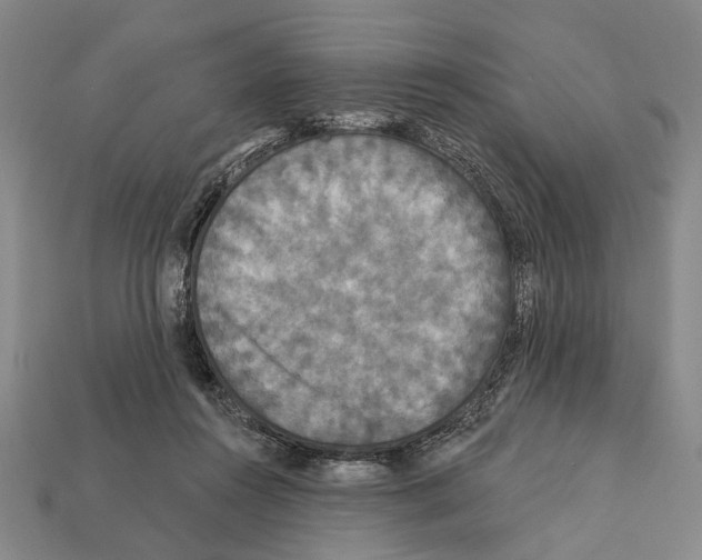 X0000112200360200909181538