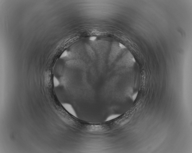 X0000112200361200909181538