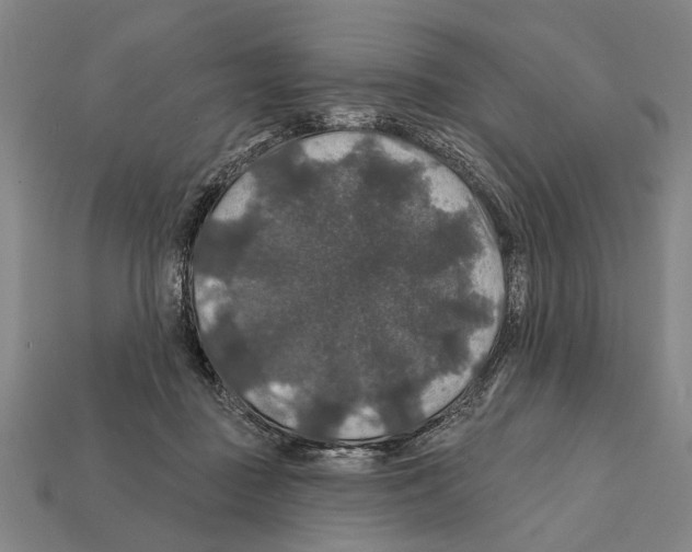 X0000112200363200909181538