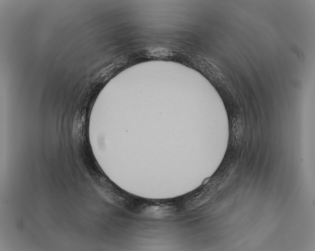 X0000112200364200909181538