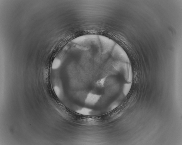 X0000112200365200909181538