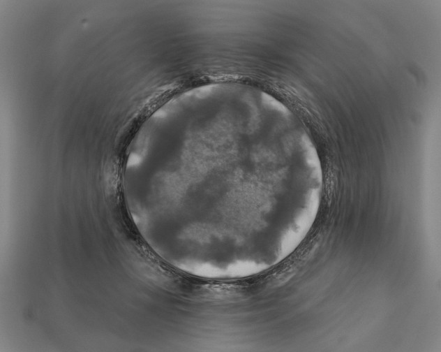 X0000112200367200909181538