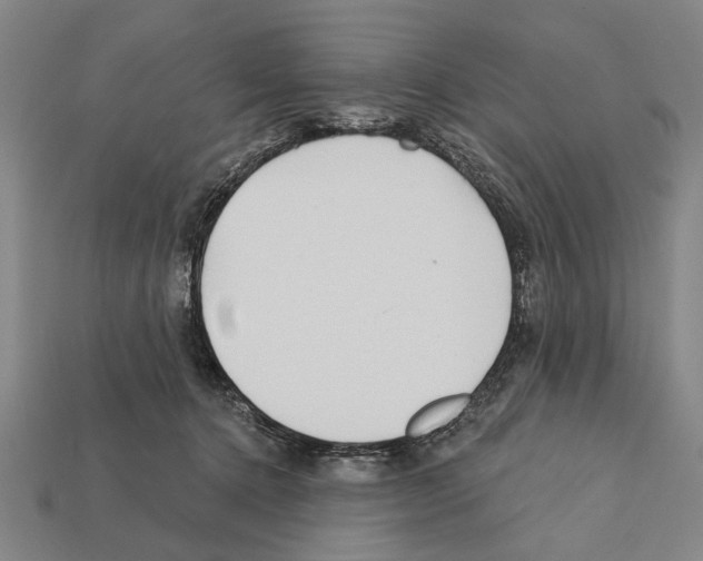 X0000112200368200909181538