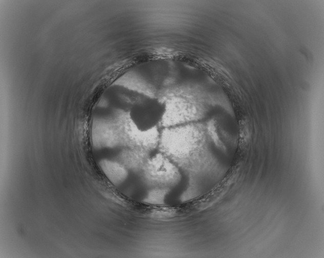 X0000112200369200909181538