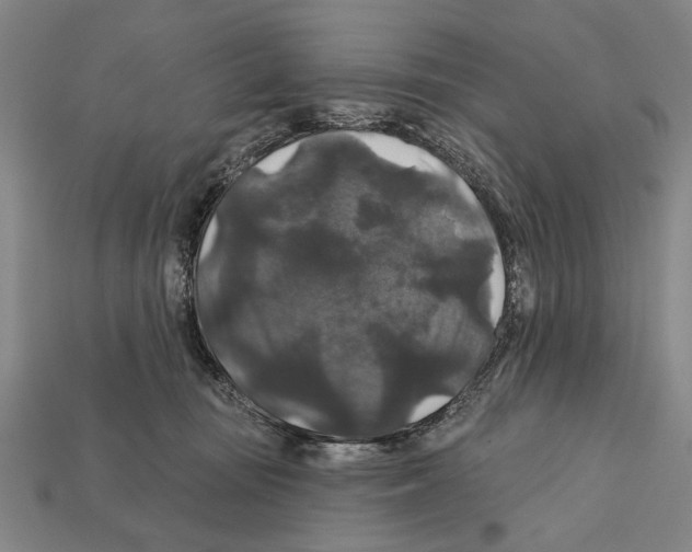 X0000112200371200909181538